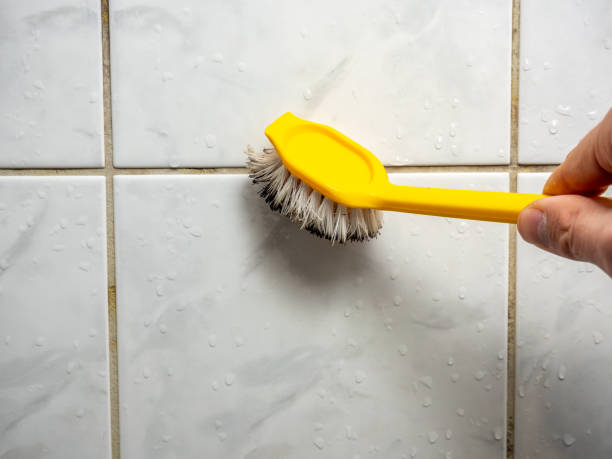 Best Certified Mold Removal  in Mercer, PA