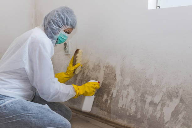 Water Damage Restoration in Mercer, PA
