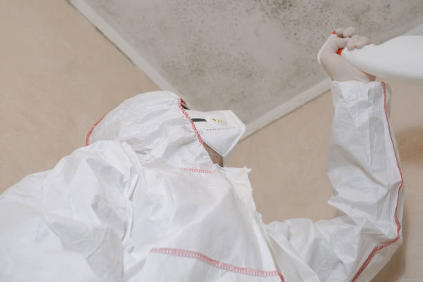 Best Mold Removal Near Me  in Mercer, PA